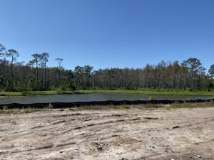 Homes by West Bay Key West II in Anclote Reserve at Starkey Ranch